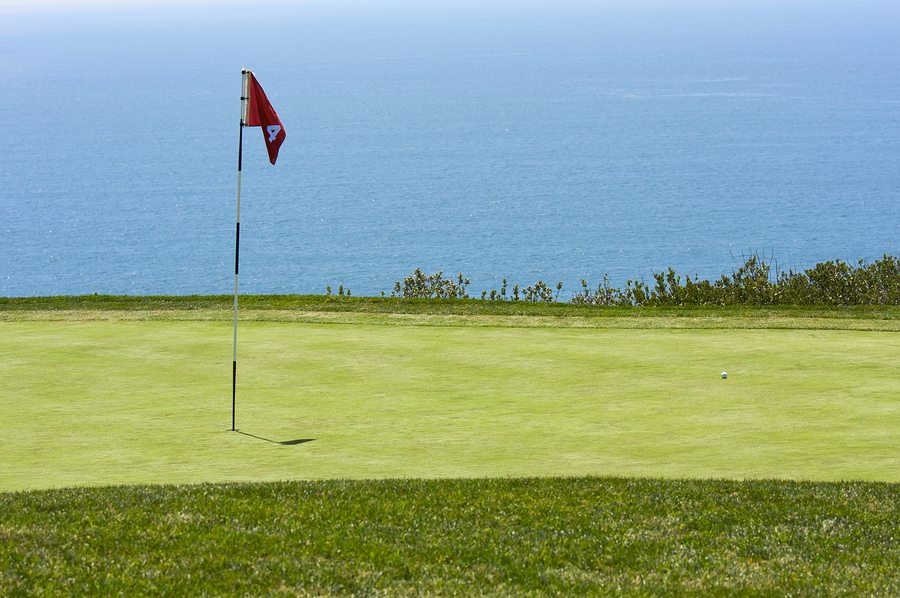 Putting green with flag at Torrey Pines Golf Course
