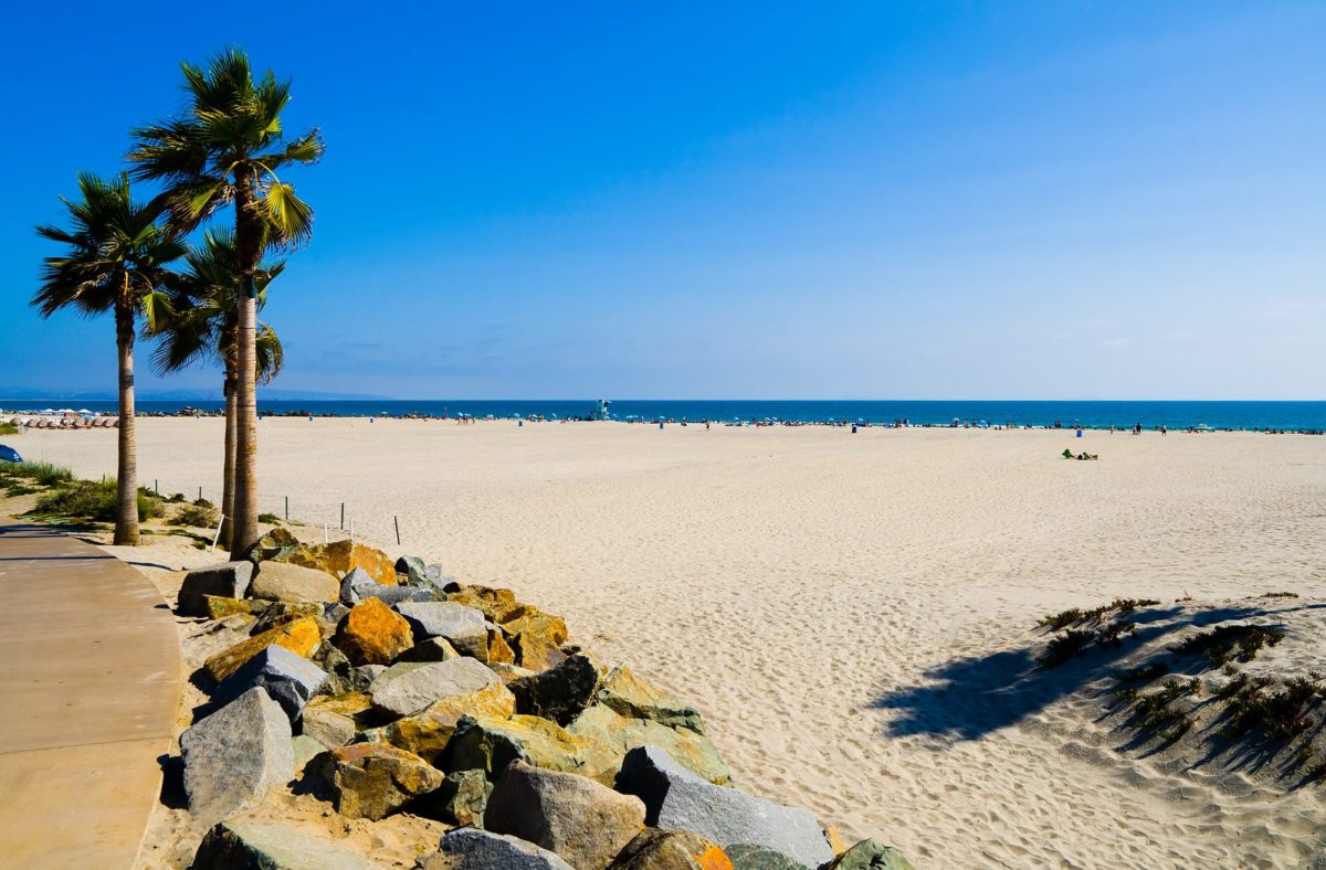 Take a Dunk This Summer Off San Diego’s Golden Shores at Our Best Swimming Beaches