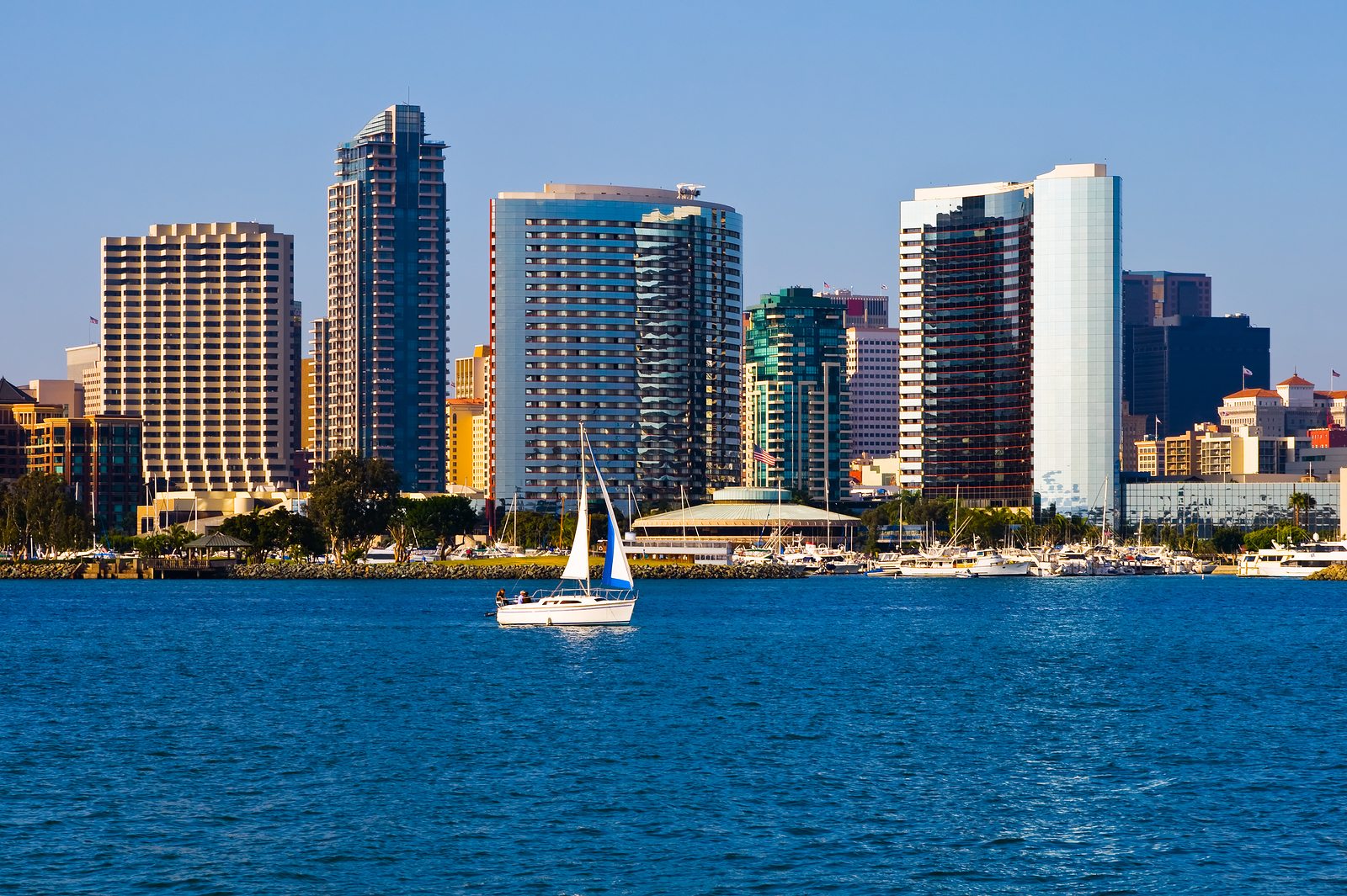 San Diego Skyline From San Diego Bay
