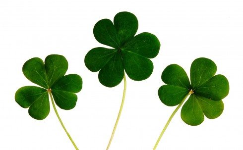 Celebrate St. Patrick’s Day in San Diego Style at the Sofia Hotel